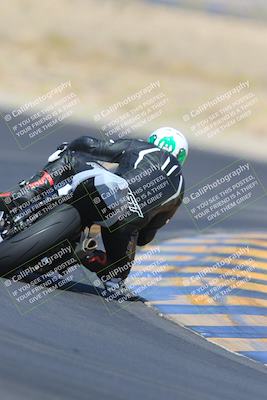 media/May-13-2023-SoCal Trackdays (Sat) [[8a473a8fd1]]/Turn 11 Backside (945am)/